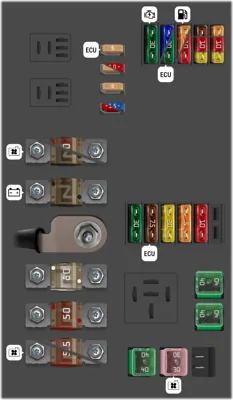 Panel de fusibles del motor (SB)