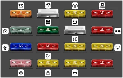 Caja de Fusibles del Compartimiento de Pasajeros