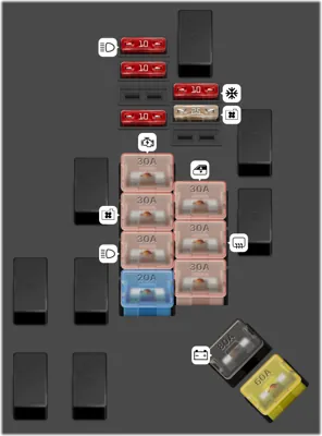 Caja de fusibles del motor