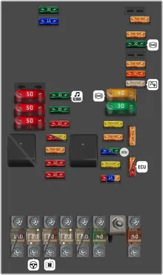 Panel de fusibles del motor (hasta Abril 2009)